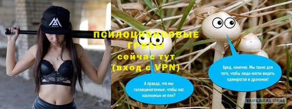 mdpv Богданович